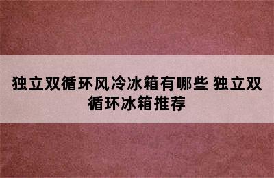 独立双循环风冷冰箱有哪些 独立双循环冰箱推荐